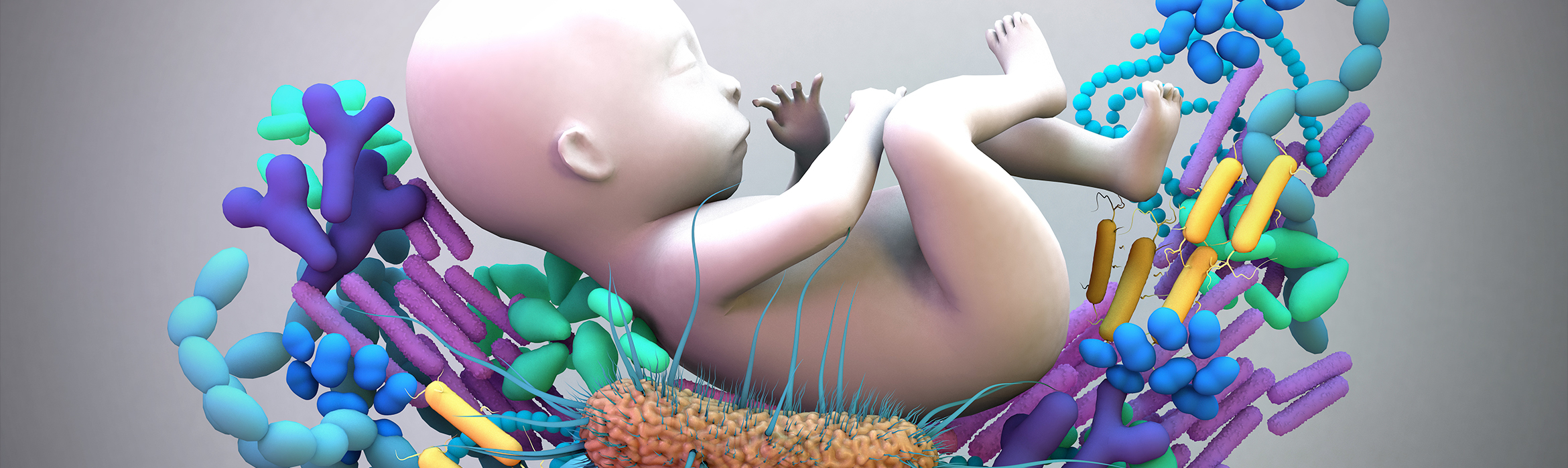 Bebé microbioma