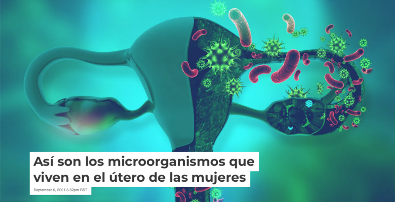 Así son los microorganismos que viven en el útero de las mujeres Portada del artículo en The Conversation España